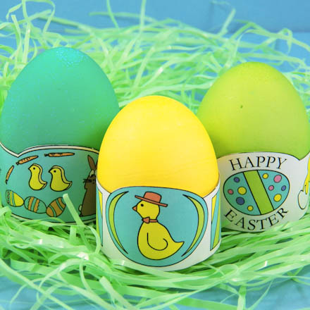 Eggs displayed in egg holders